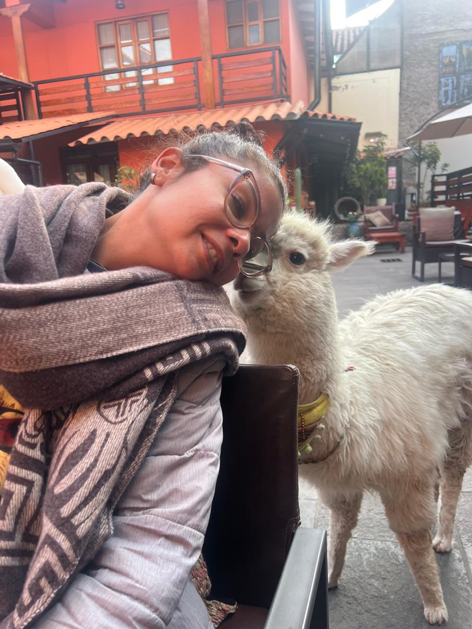 Lhamas em Cusco
